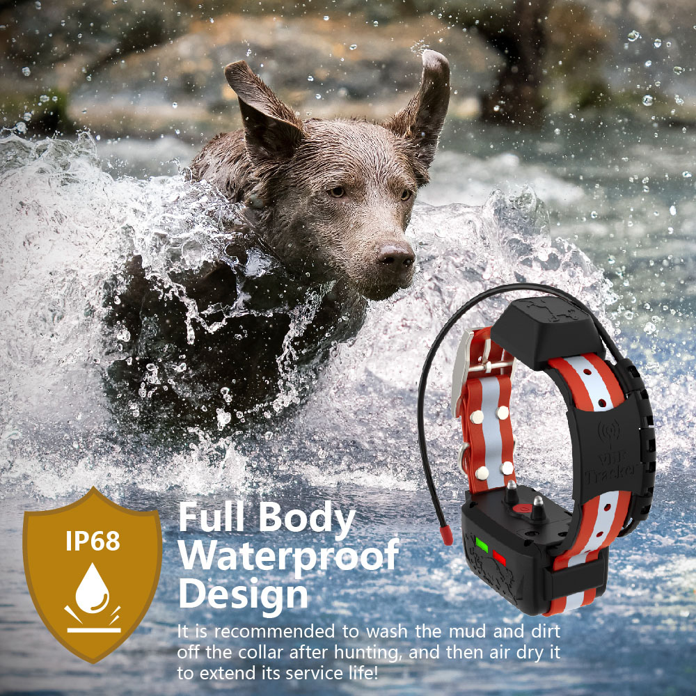 توريد مباشر من مصنع ESEEK: طوق - مراجعة Outdoor Hunting Dog Supply وسعره