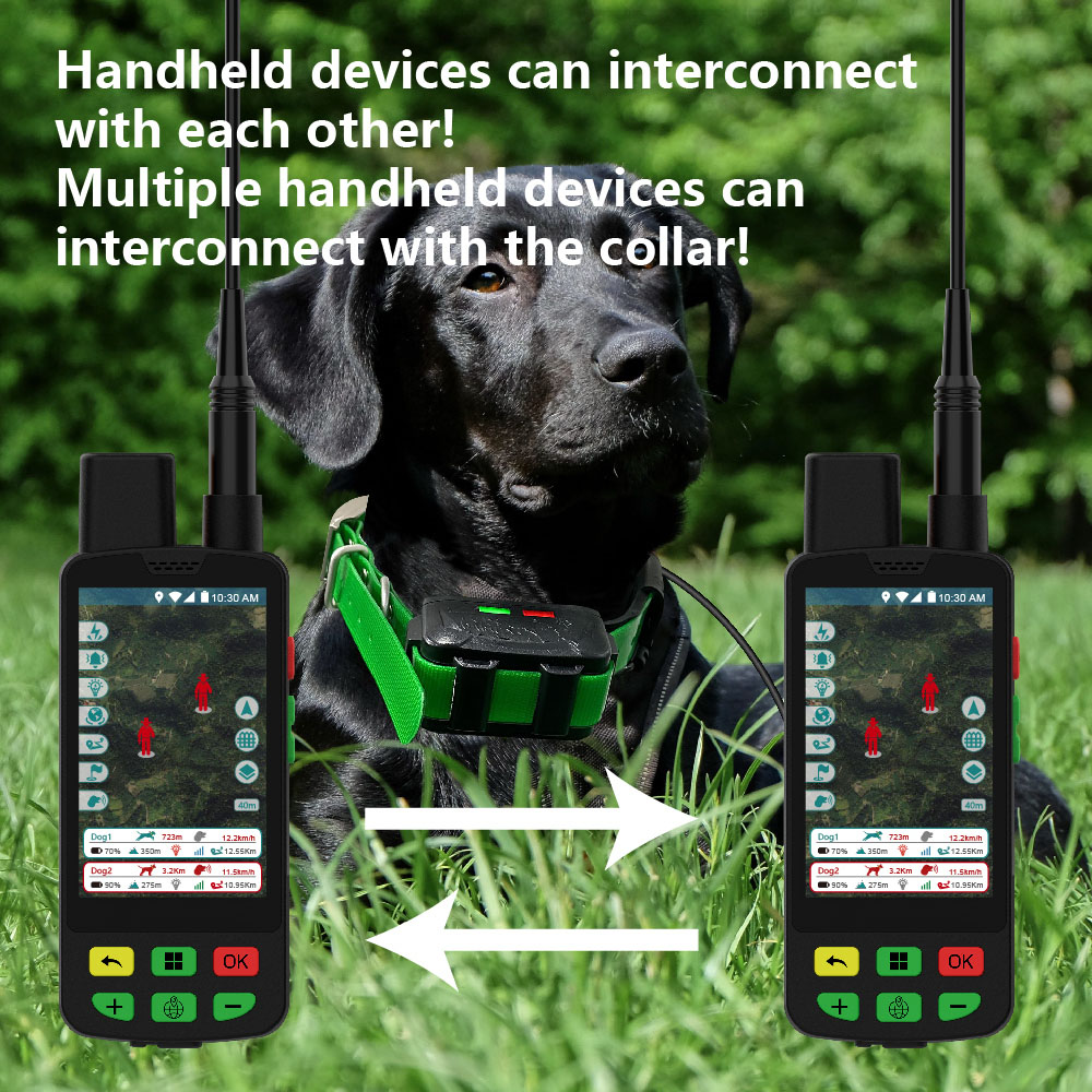 توريد مباشر من مصنع ESEEK: طوق - مراجعة Outdoor Hunting Dog Supply وسعره